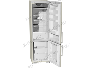 Холодильник Gorenje RK62395DC (250155, HZS4066AFV) - Фото